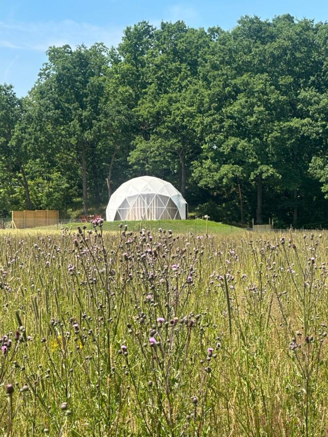 Karkonoski Glamping Chaleter Lomnica (Jelenia Gora)